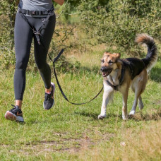 Pavada skriešanai : Trixie Waist belt with leash, wide, neoprene padded, belt: 70–120 cm/12 cm,  leash: 1.10–1.50 m/20 m