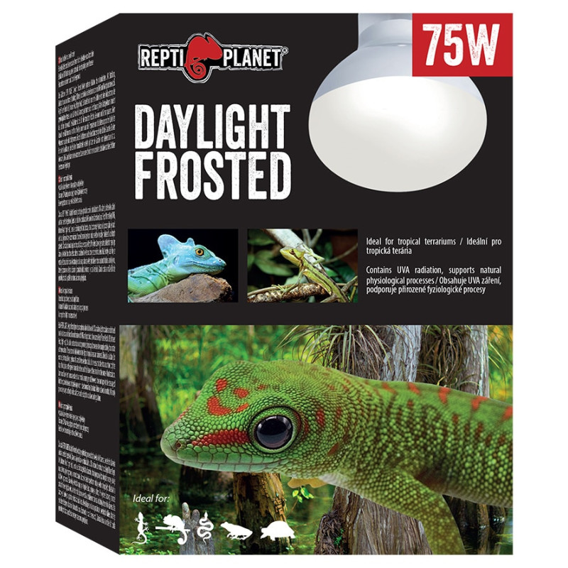 Spuldze terārija lampai : Repti Planet Bulb Daylight Frosted 75W