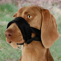 Neilona uzpurnis suņiem : Trixie Muzzle Loop, Nylon, XL, Rottweiler, Neck Strap: 20:30 cm, Snout Strap: 23:34 cm.