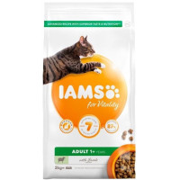 Sausā barība kaķiem - IAMS CAT ADULT LAMB, 2 kg