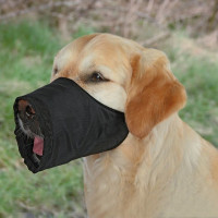 Uzpurnis suņiem : Trixie Muzzle, Nylon. Size XS:S, Snoup strap 12 cm, 12:28 cm, for Chihuahua