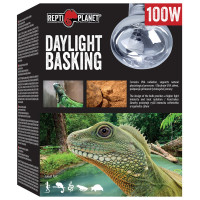 Spuldze terārija lampai : Repti Planet Bulb Daylight Basking Spot 100W