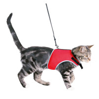 Krūšu siksna veste ar pavadu kaķiem : Trixie Soft harness with lead for cats, 24–42 cm, 1,20 m