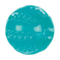 Rotaļlieta suņiem : Trixie Denta Fun ball, thermoplastic rubber (TPR), ø 6 cm