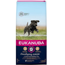 Sausa barība kucēniem : Eukanuba Junior Large Breed Chicken, 15 kg