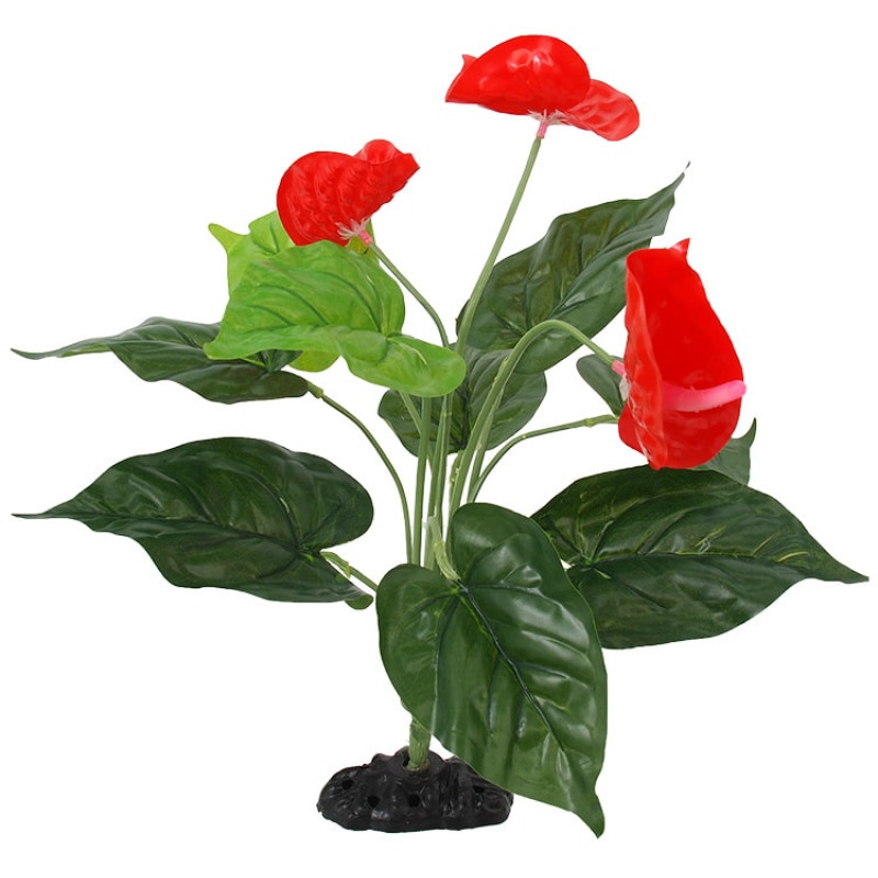 Dekors terārijam : Repti Planet Anthurium flower, 40 cm