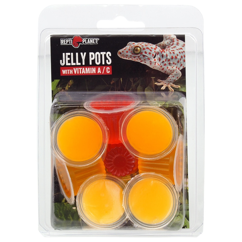 Papildbarība rāpuļiem : Repti Planet Jelly Pots Fruit