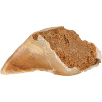 Gardums suniem : Trixie Chewing hoof, with meat filling, 115 g.