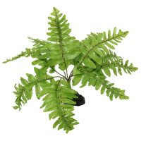 Dekors terārijam : Repti Planet Nephrolepis fern, 20 cm