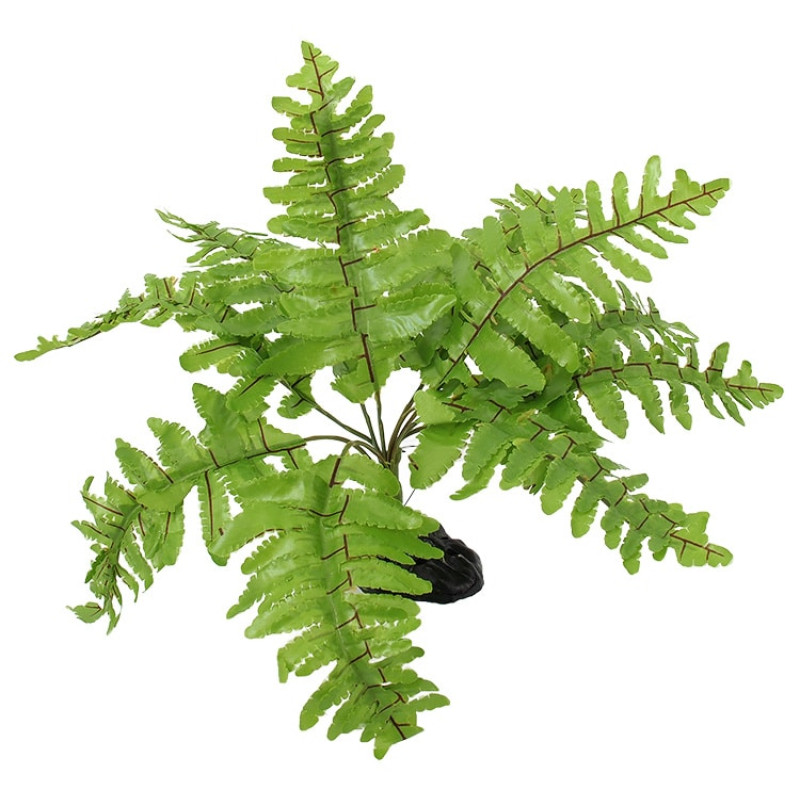 Dekors terārijam : Repti Planet Nephrolepis fern, 20 cm